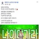 나이야가라댄스 이미지