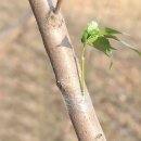 엠에스 랩 이미지