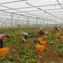 괴산군농업연구소 이미지