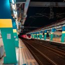 워크잇(Walk it) 이미지