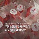브레드하이픈 | 팝업스토어 포춘쿠키 브레드하이픈 이벤트 컬러커스텀 후기
