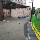 나드리세차장 이미지