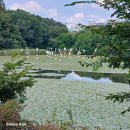 스마트투어 이미지