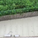 판문동-1 이미지