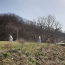 세종승마클럽 이미지