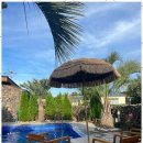 장전1038 이미지