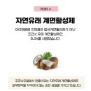 아이엠봉봉