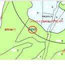 신라부동산공인중개사사무소 이미지
