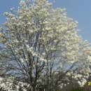 우리마차 이미지