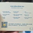 라인비지니스 | 베트남 항공 하노이 비지니스 이용후기 식사 마일리지 베트남입국QR 만드는 법
