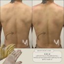 메스티(MESTY) 네이버블로그