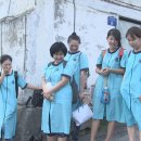 중앙애견 이미지