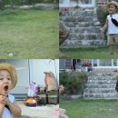 비석농장 이미지