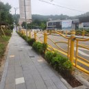 그린 숲 이미지