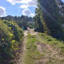 불은면-8 이미지