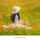 강변체육공원 이미지