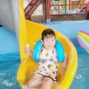 토담어린이집 이미지