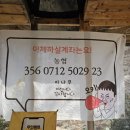 나무네편의점