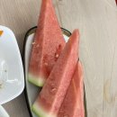 바다민박 | 경주) 감포 바다앞민박 숙소 1박 해루질 스노클링 포인트 후기