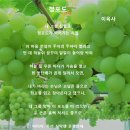유피아이 이미지