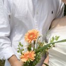 솜반천로 | W. 제주 셀프 스냅 촬영 후기 ( 근데 이제 바람을 곁들인 )