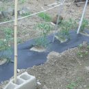 농군농장 이미지