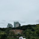 월드컵경기장 서측 버스정류장(14-105) | 13회 서울레코드페어 (in 문화비축기지) 후기 / 한정반, 최초공개반, 웨이팅, 가는법, 주차
