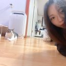 은근바쁜 일상