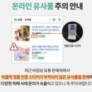 강아지 피부병 연고 포비겔 후기, 농피증·외이염·상처 관리