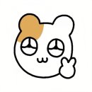 내향인 생일파티 후기