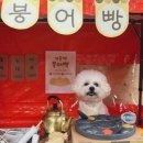 신갈유치원 이미지