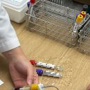 의료법인 송백의료재단 | 불광역 은평구 성조숙증 한의원 성누가 의료재단 성누가 병원에서 뼈사진찍고 성조숙증 검사했어요...