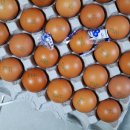 에그린농장 이미지