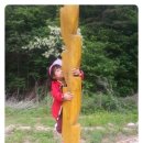 숲속연세유치원 이미지