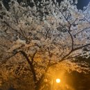 삼락반점 이미지