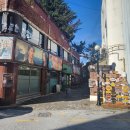 산수싸리 이미지