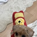 애니웰 동물병원 이미지