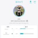 어헤드(Ahead) 이미지
