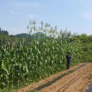 남수농장 이미지