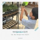 식  천 | 예삐플라워 용인 남사하훼단지 식물 아울렛 식쇼핑 가격 및 방문 후기