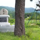 안정공단로 이미지