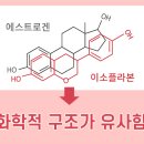포도당 구리산화물초전도체 호르몬 탄소수소갯수 대광고 다대포 양지암 이승훈 김형돈 전범진 김진곤 김남진 육시우 이강호 원형식 불쌍한년들 이미지