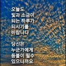 빛과 소금 이미지