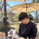 베러댕댕 이미지