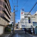 삼성생명 건물 앞 교통섬 | 가고시마 여행 - 2일차(멧케몬 회전초밥, 사쿠라지마 섬, 코메다 커피, 와카나 본점)