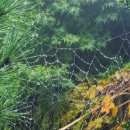 동성아이별꽃유치원 이미지