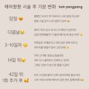 세하헤어 네이버블로그