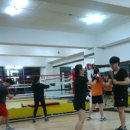 산본미래권투 이미지