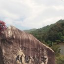 새밭식당 이미지