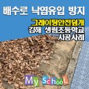생림초등학교 이미지
